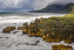 New Zealand 2025 (2 group) (65/84)